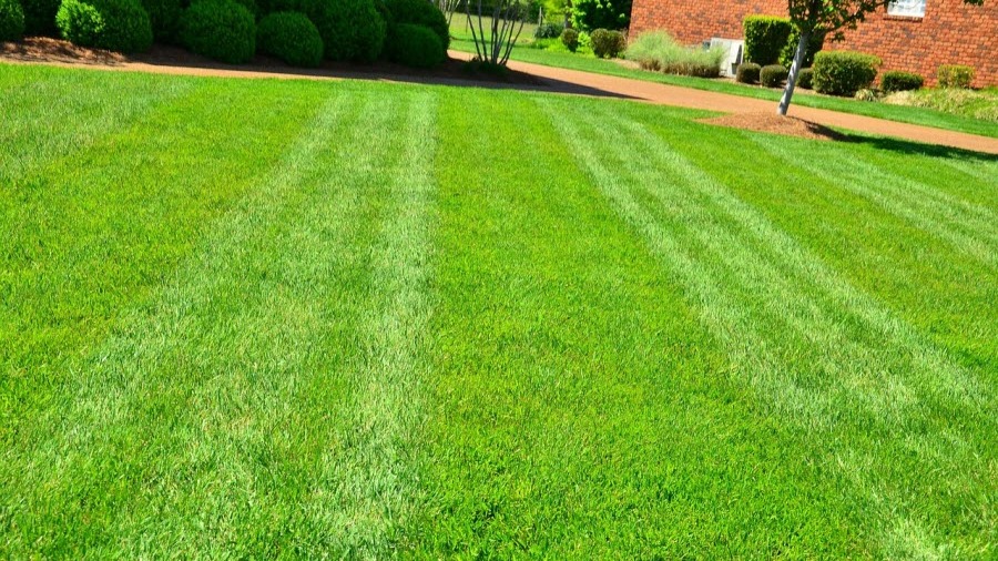 Annual Lawn Care Program In Weber County Annual Lawn Care Program in Weber County