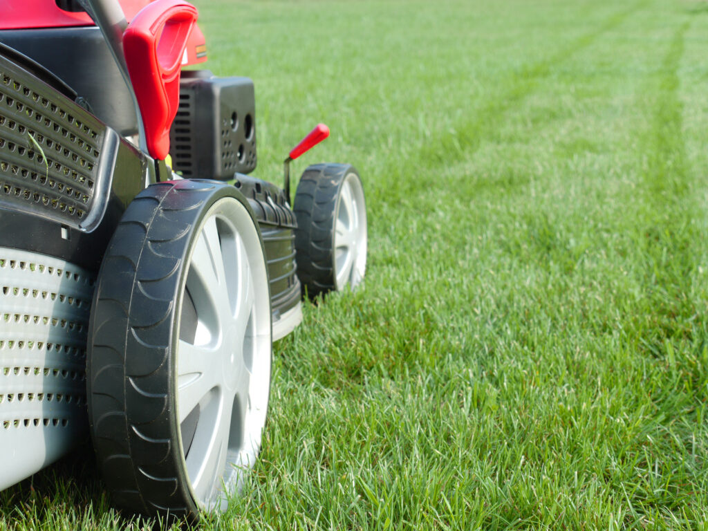 Expert Lawn Care Near Me Ogden UT Green Castle Lawn Care