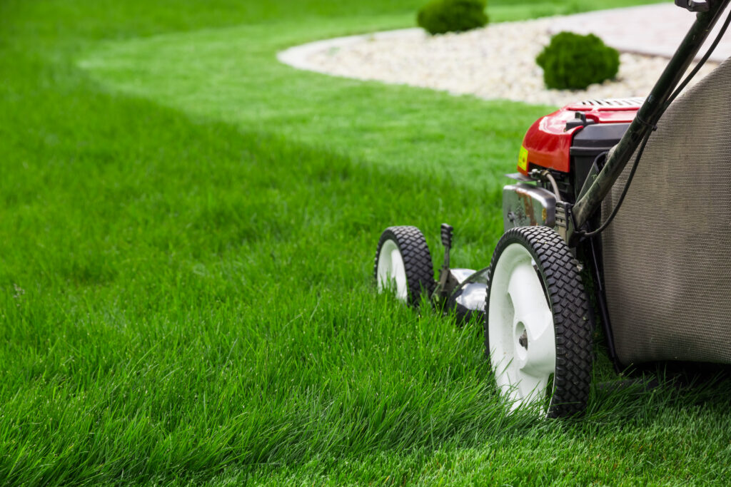 How To Care For Your Plants In Extremely Hot Weather: 3 Helpful Tips