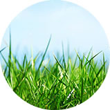 lawn care services Ogden Utah