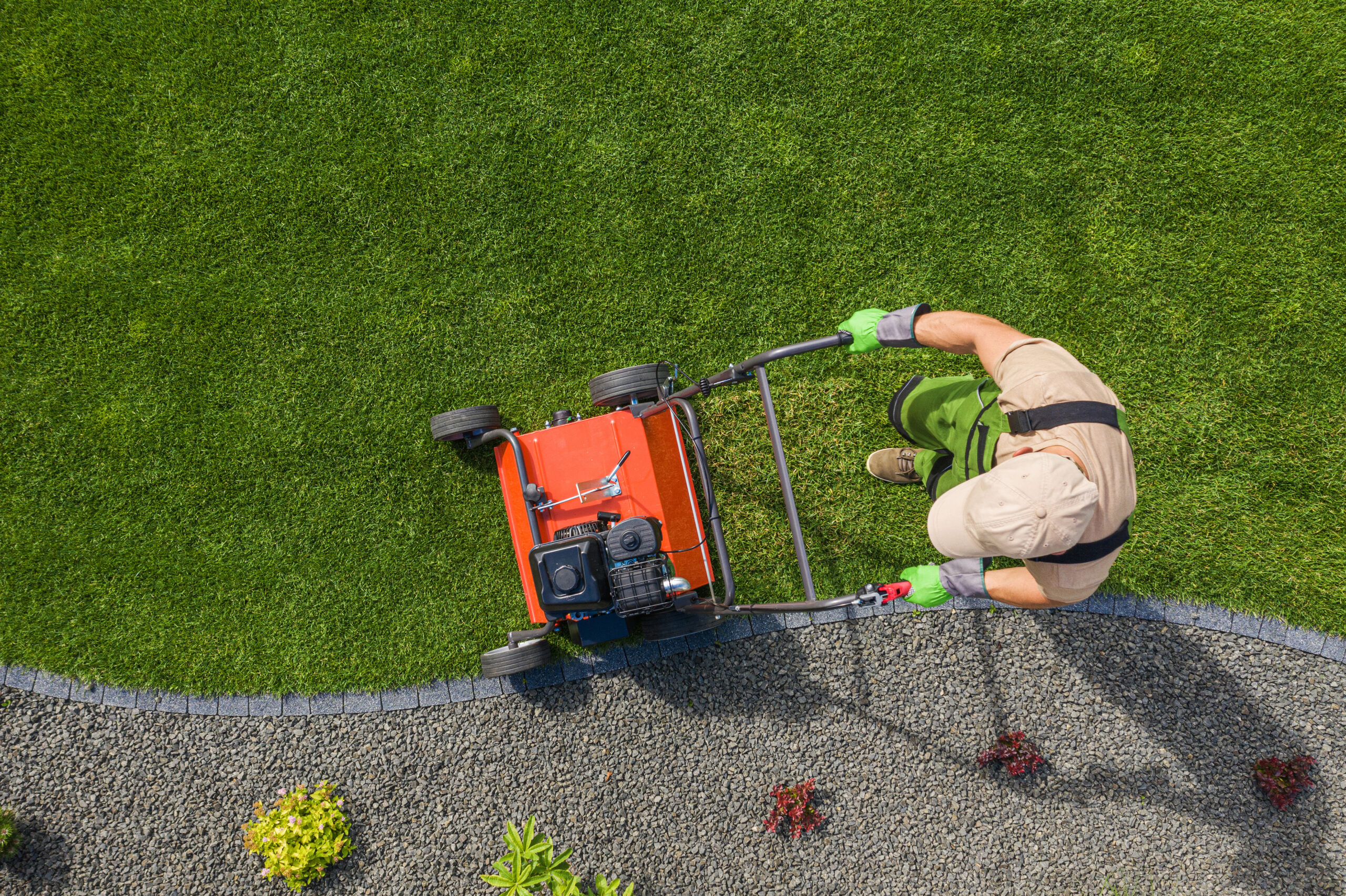 Schedule lawn aeration in Ogden, Utah