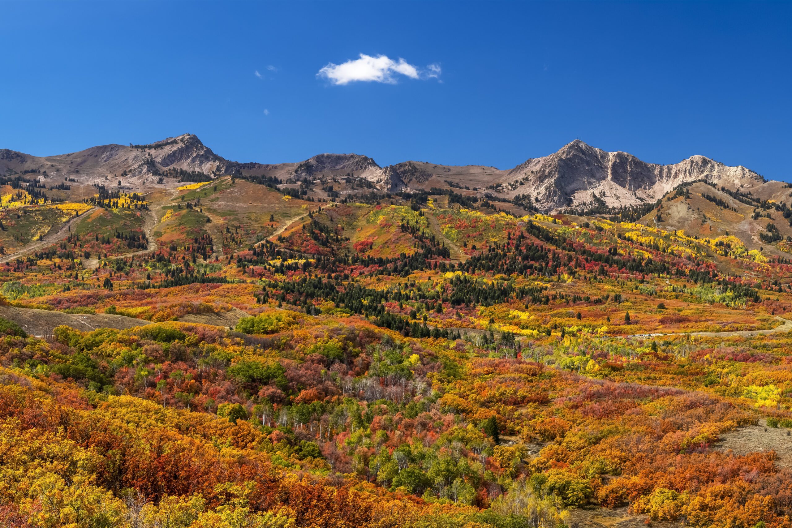 Lawn care in Harrisville, Utah