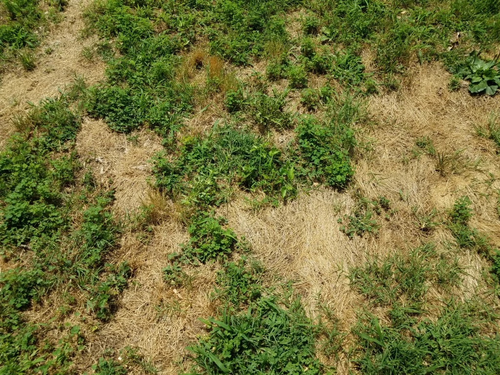 A drought in Ogden, Utah