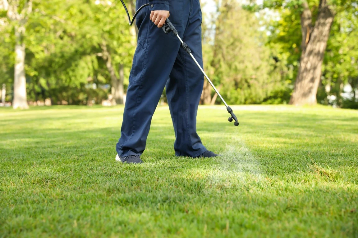 Lawn Care Services in Plain City, Utah