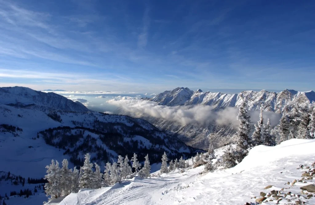 Choosing The Right Snow Removal Contractor For Your Commercial Property: 7 Factors To Consider Snow removal contractor in Ogden, Utah