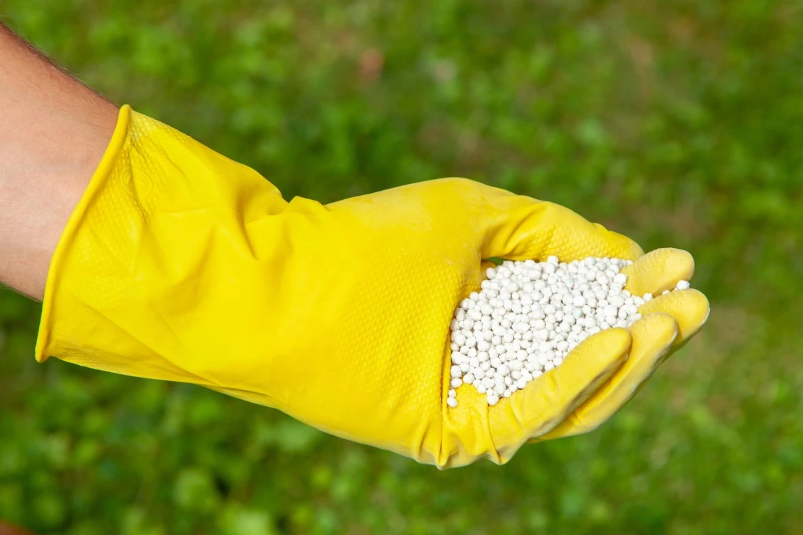 Expert Lawn Care In Utah Lawn Care Services in Willard, Utah