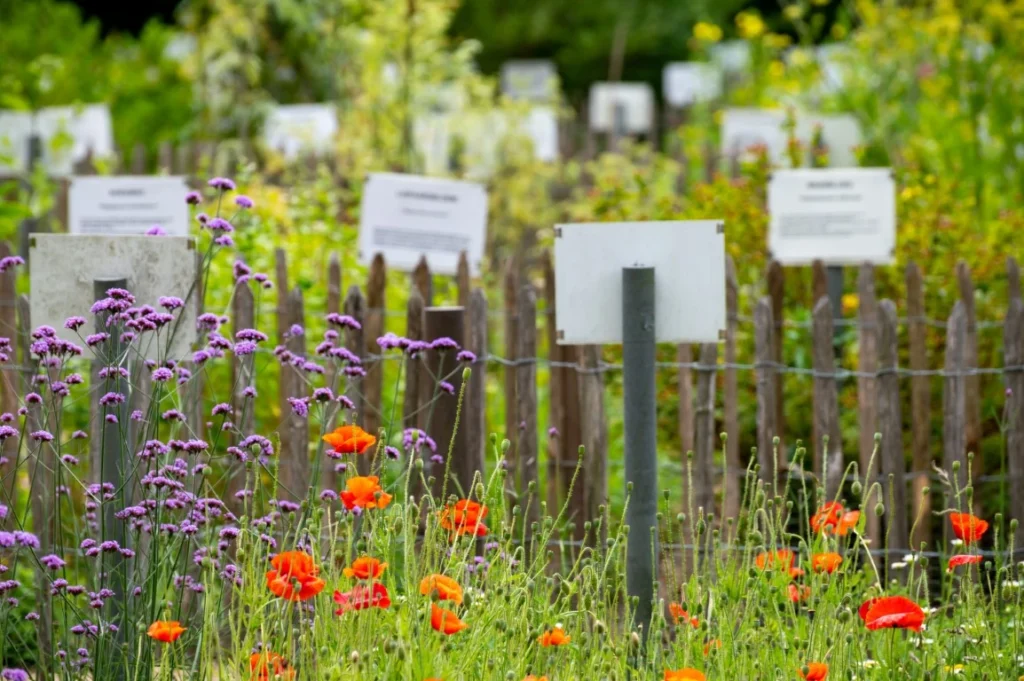 Native Garden - Green Castle Lawn Care, Ogden, Utah 