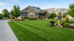 Lawn Fertilization FAQ: Common Questions Answered