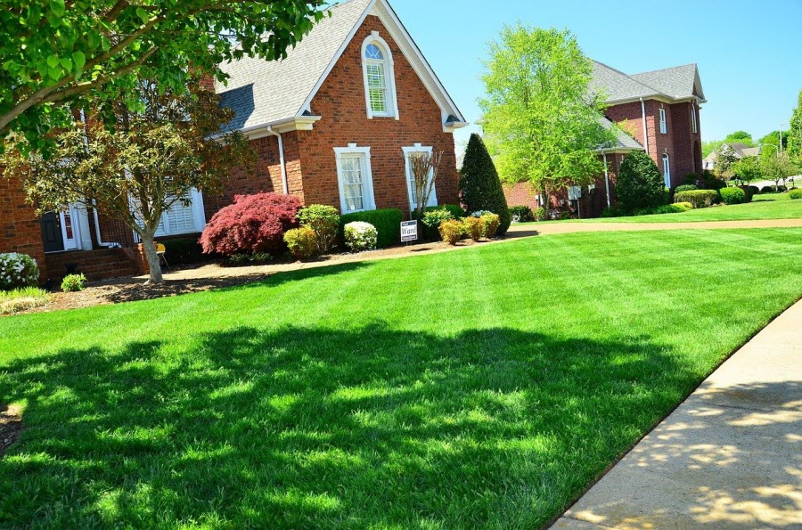 Lawn Disease Control Faq: Common Questions Answered Lawn Disease Control FAQ: Common Questions Answered