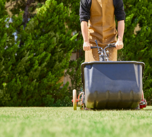 Expert Lawn Care In Utah Expert Lawn Care in Utah