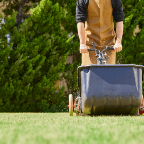 The Benefits Of Regular Lawn Maintenance Programs In Utah The Benefits of Regular Lawn Maintenance Programs in Utah