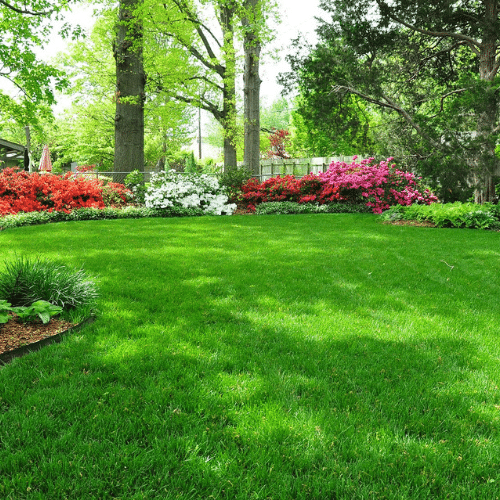 The Benefits Of Regular Lawn Maintenance Programs In Utah The Benefits of Regular Lawn Maintenance Programs in Utah
