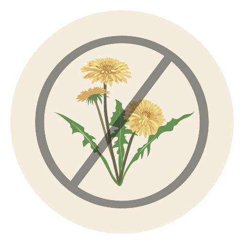 Local Pest and Weed Control graphic