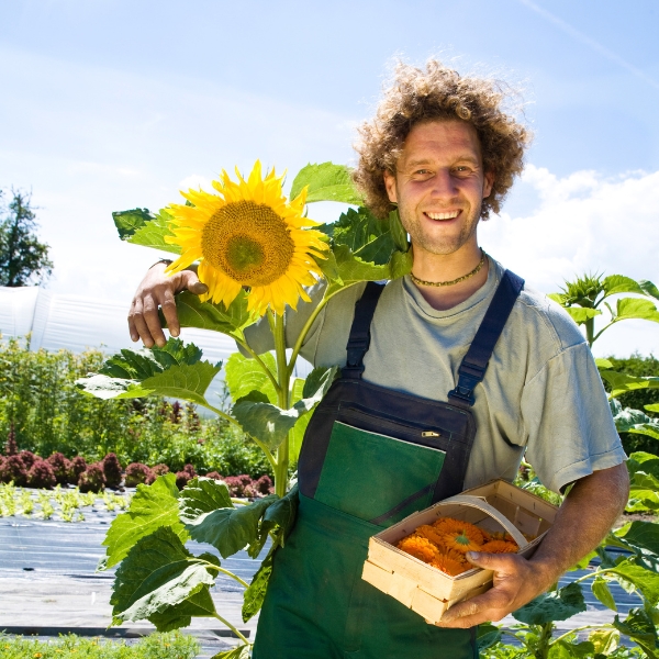 Lawn Insect Control &Amp; Lawn Pest Services In Ogden, Utah Get started with Green Castle Lawn Insect Control in Ogden today
