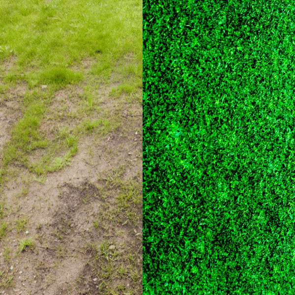 Lawn Fertilization Services In Ogden, Utah – Local, Safe &Amp; Proven Comparison of thick green lawn versus patchy, unfertilized yard