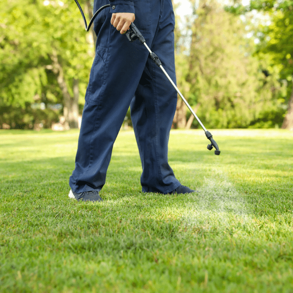 Grub Control Services For Utah Lawns Lawn care expert applying grub prevention treatment