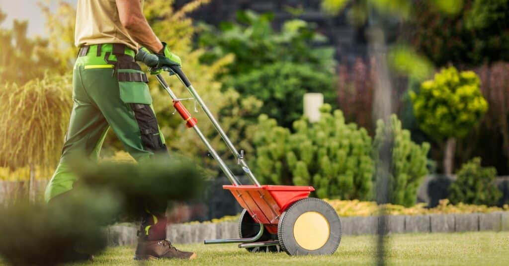 Lawn Seeding Services You Can Trust In Ogden, Utah Professional lawn seeding service in Ogden Utah showing grass seed spread evenly on yard