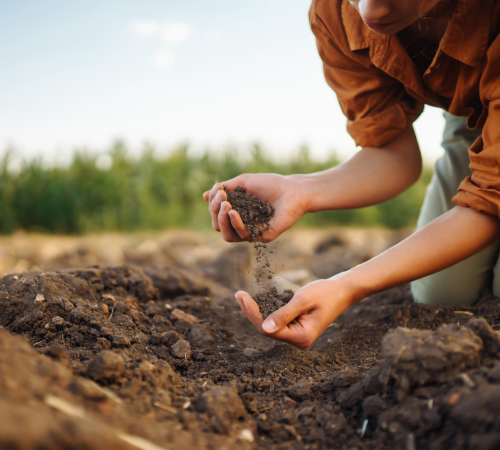 Expert Lawn Care In Utah Expert Lawn Care in Utah