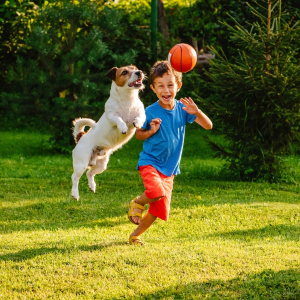 Lawn Insect Control &Amp; Lawn Pest Services In Ogden, Utah Icons showing grubs, chinch bugs, armyworms, billbugs, and sod webworms