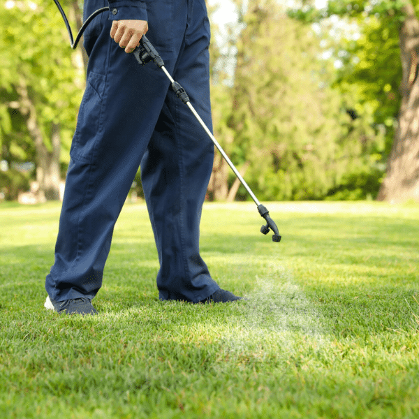 Are Grub Control Services Worth It? Here’s The Honest Truth For Northern Utah Lawns Professional applying grub control treatment on lawn